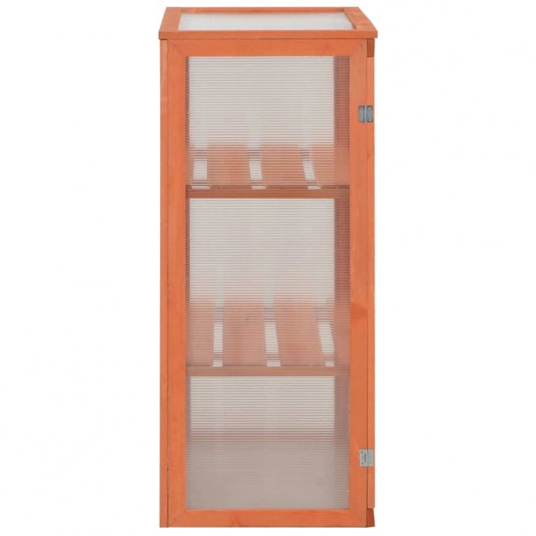 Serra ad armadio in legno con 2 ante e tetto apribili e copertura in policarbonato. Dimensioni 750 x 450 H 1090 mm