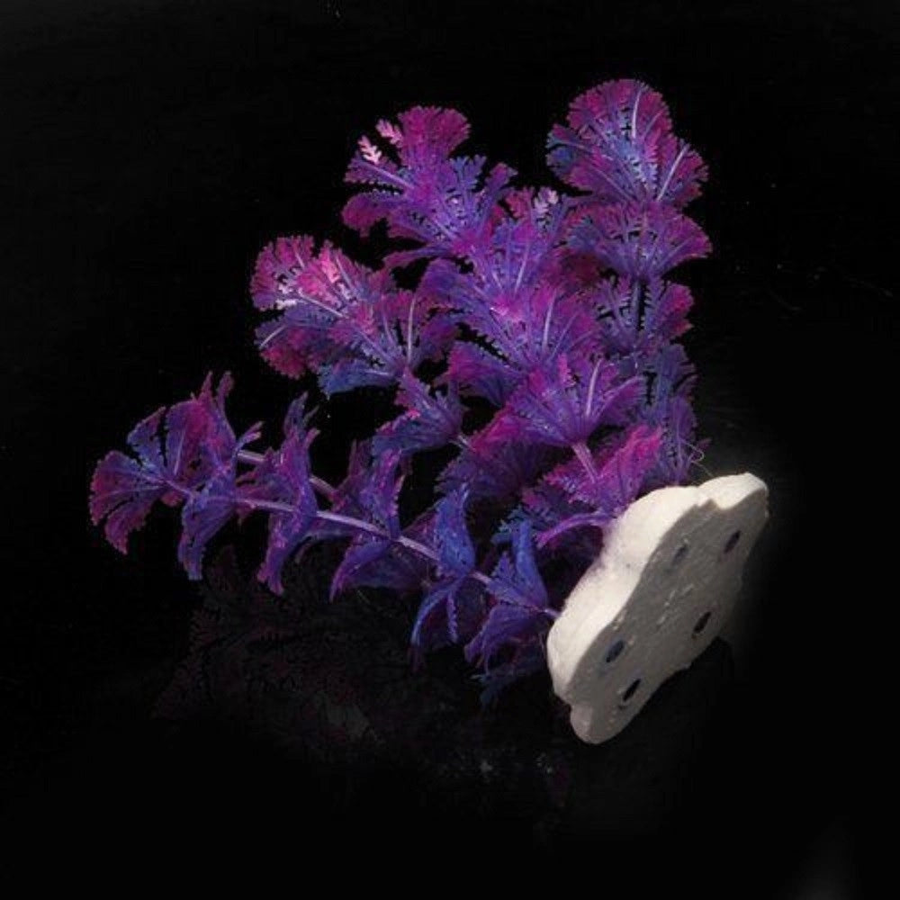 Trade Shop - Pianta 11 Cm Piantina Artificiale Per Acquario Piante Finte Plastica Viola -
