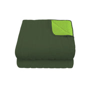Trapuntino Doubleface Matrimoniale 100gr Verde Mela/Verde Scuro