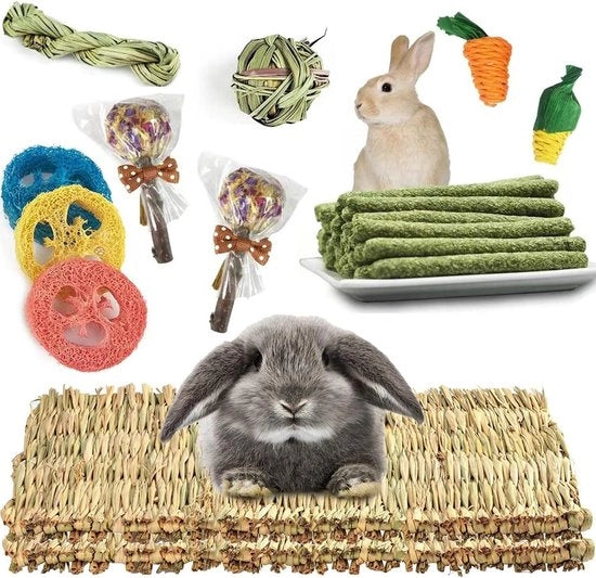 Mat per Cavia con Diversi Kauwspeelgoed - Materasso Naturale Tessuto per Sbiancare i Denti - Adatto per Cavia, Chinchilla, Scoiattolo, Hamster e Piccolo Animale - Set a 2