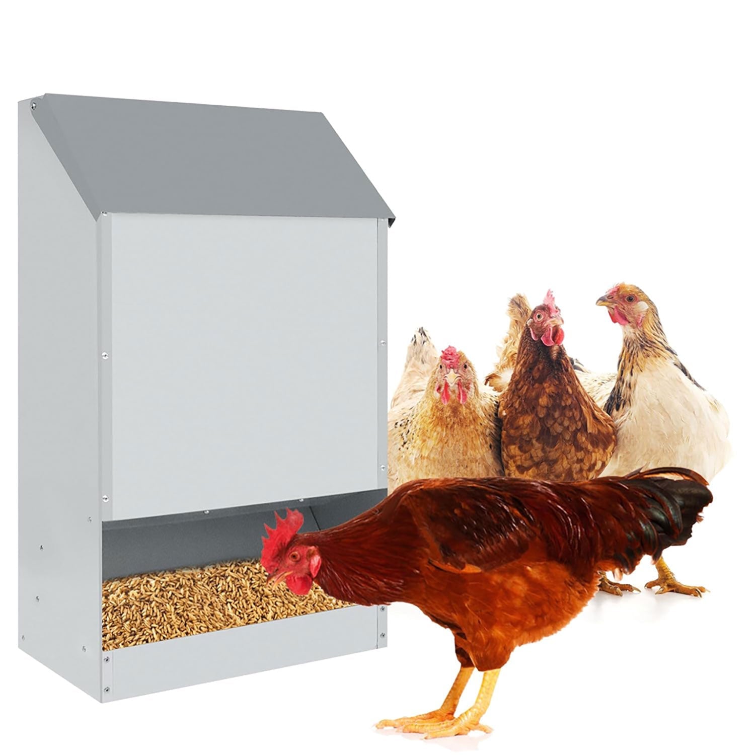Mangiatoia per Galline 35x20x63 cm Capienza 23kg in Acciaio Zincato