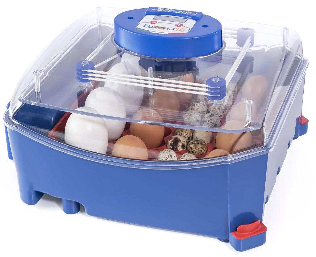 Incubatrice per Uova Termoisolante con Biomaster Borotto Lumia 16