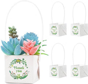 50 Pacchi di Regali per Piantine Grassicce - Sacchetti di Poesia in Carta Kraft per Vasi da 2 Pollici - Pacchi Decorativi per Matrimonio, Festa di Benvenuto per il Bambino e Feste
