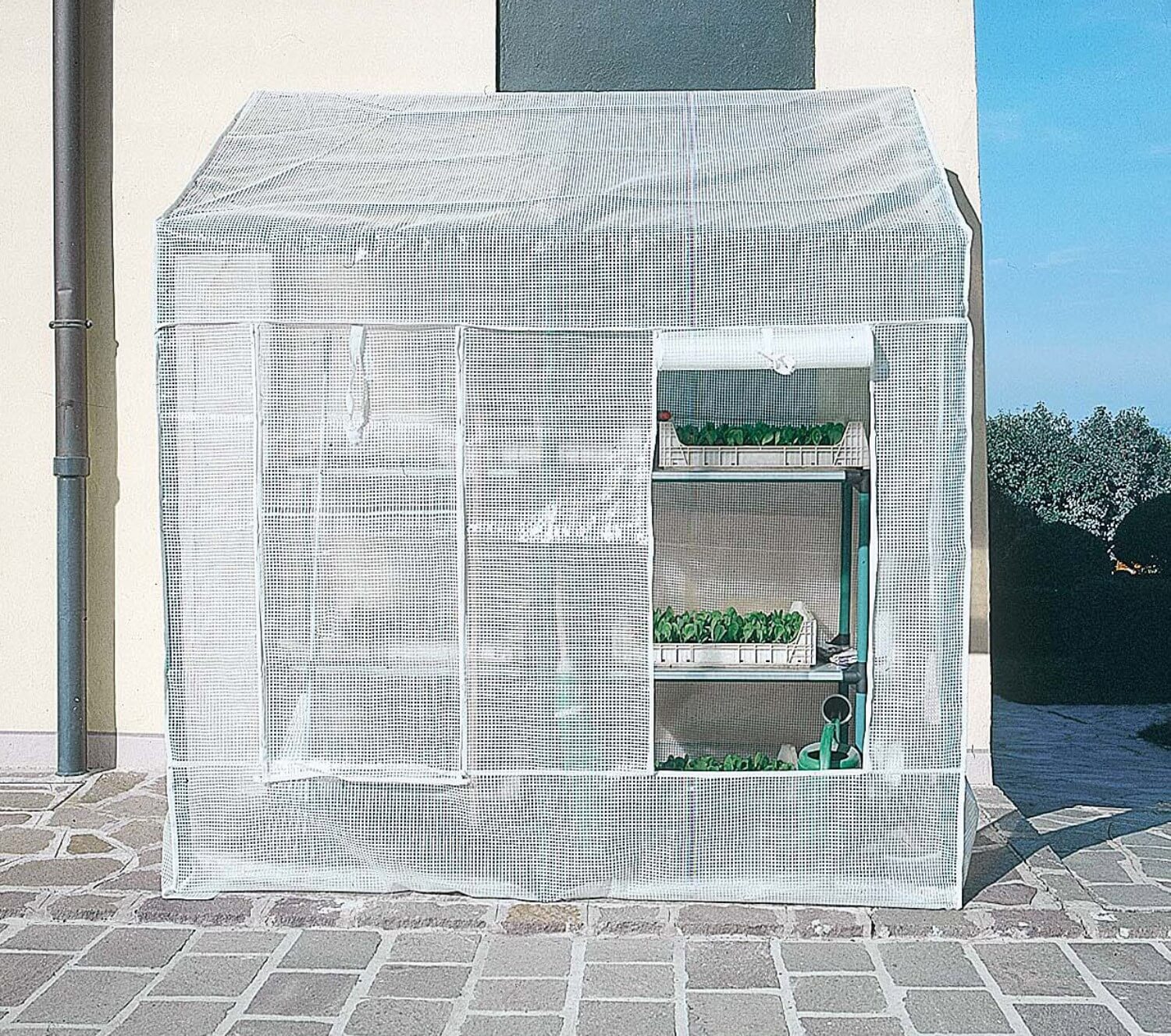 Serra da Giardino a Parete in PVC con Telo Rama Lobelia Verde