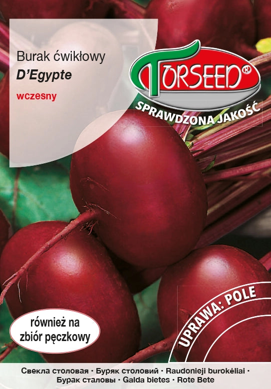 Barbabietola D'Egypte 15g