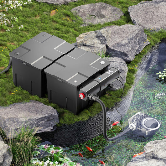 Set per laghetti fino a 60000l Filtro Chiarificatore UVC 36W Pompa 80W Tubo 25m