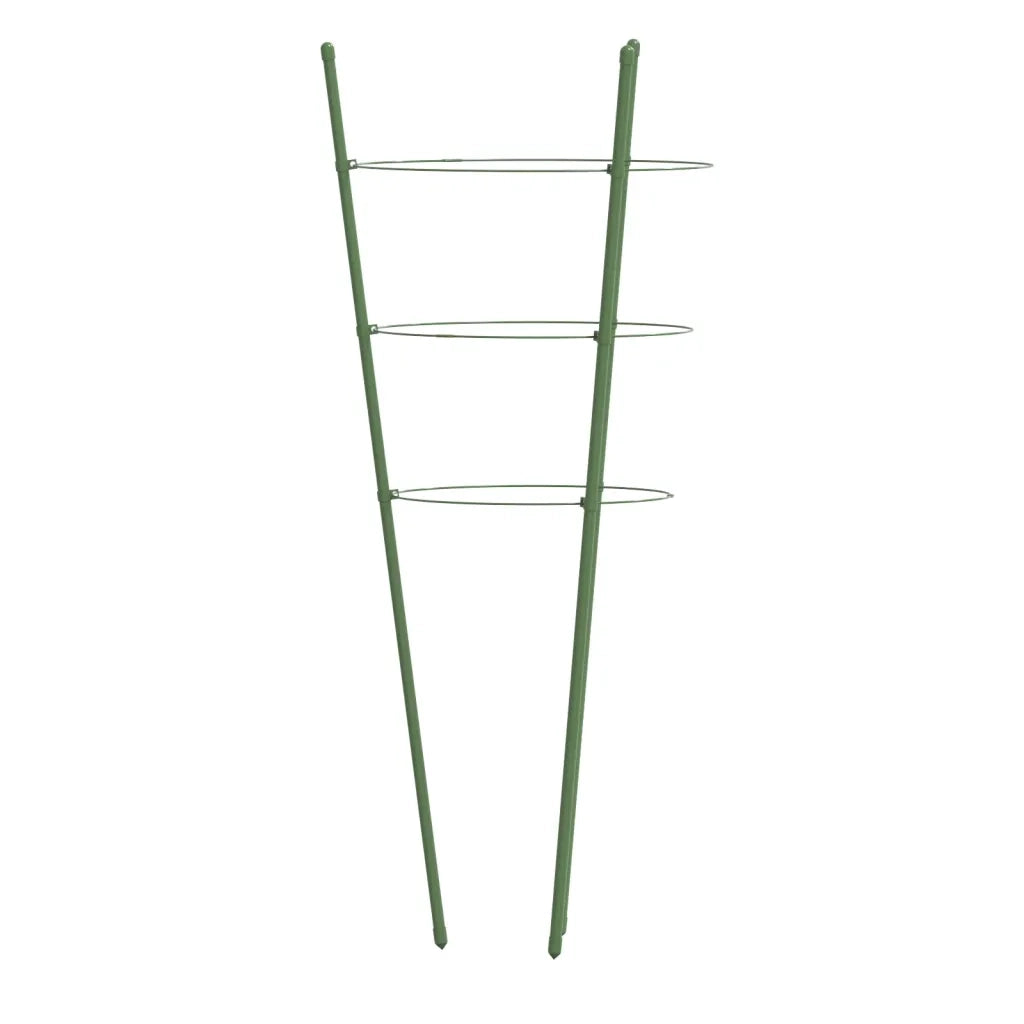 Supporti Piante da Giardino con 3 Anelli 5 pz Verde 60cm Acciaio CFW6454335