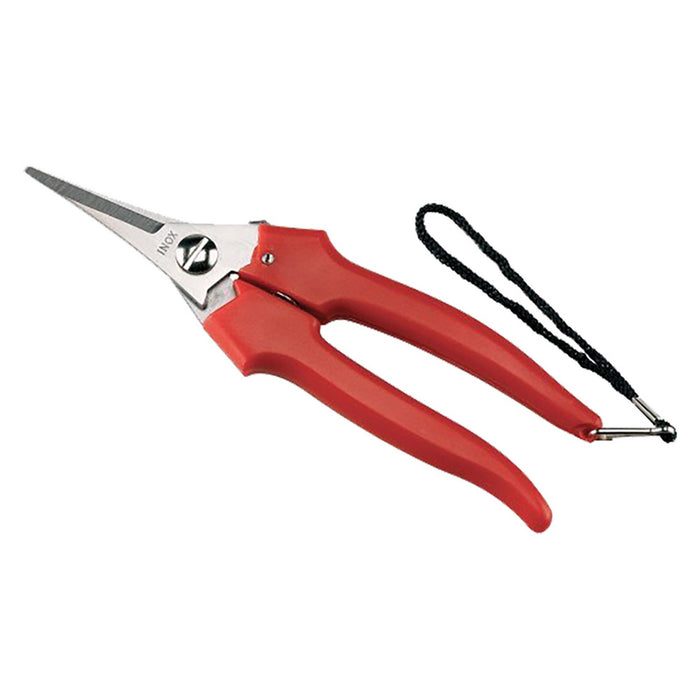 forbici cogliuva 'lame strette' art. 31329 - cm 19 cod:ferx.6019300nlm