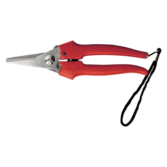 forbici cogliuva art. 31327 - cm 19 cod:ferx.601929nlm