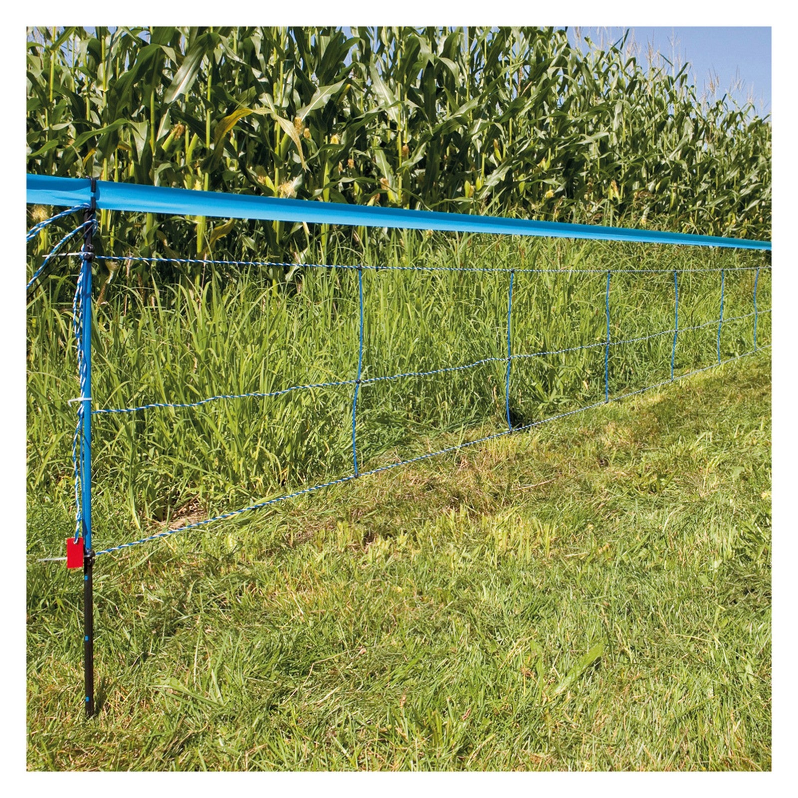 banda segnaletica per rete elettrificabile lunghezza 250 mt - h.25 mm. cod:ferx.6049875nlm