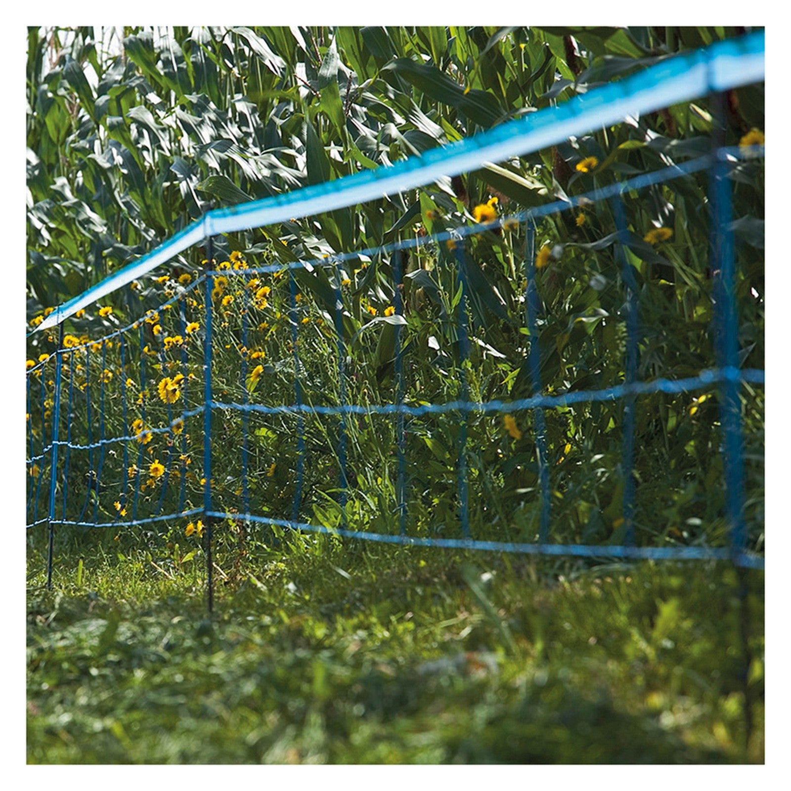 rete per cinghiali elettrificabile 'wildnet' lunghezza 50 mt cod:ferx.6049870nlm