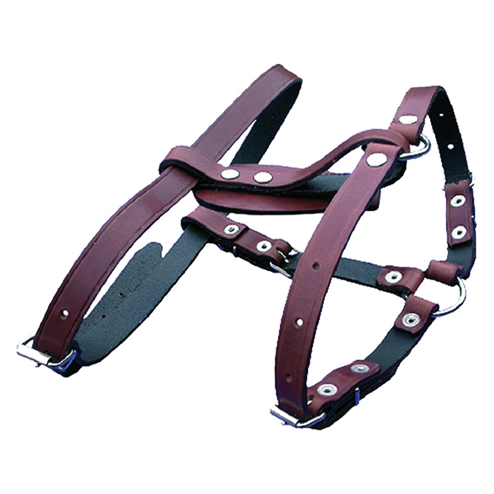 pettorale per cane 202/a cod:ferx.605990nlm