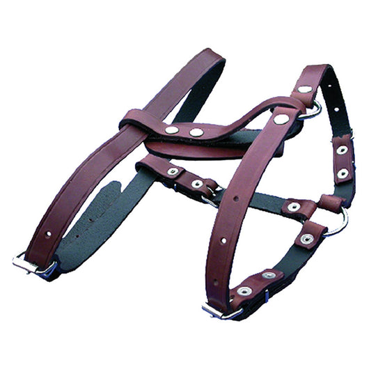 pettorale per cane 202/a cod:ferx.605990nlm