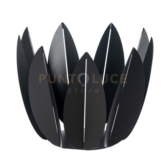 agrumiera ficus Nero in Ferro 27,6x23Hcm