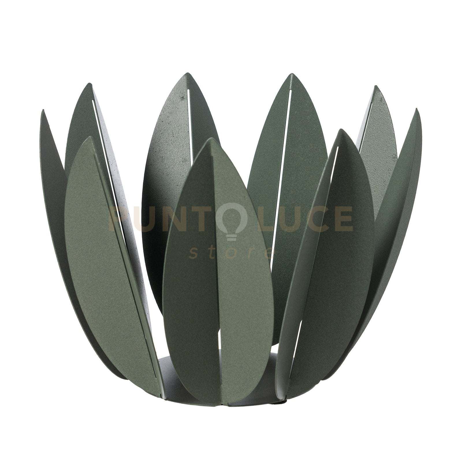 agrumiera ficus Verde salvia in Ferro 27,6x23Hcm