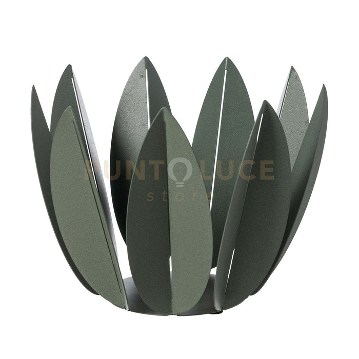 agrumiera ficus Verde salvia in Ferro 27,6x23Hcm