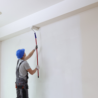 Pittura acrilica ultra opaca super lavabile antimuffa protezione antibatterica *** formato 2.5 lt, confezione 1