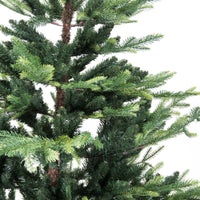 Albero monte baldo 3423 rami verde cm ø157h240