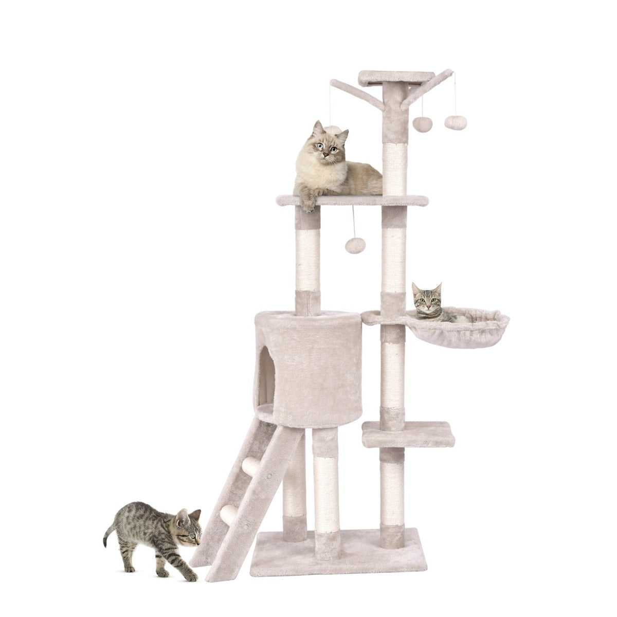 Torre multi-livello per gatti con tiragraffi in sisal e palline pendenti, Centro attivit¨¤ per gattini da interno Beige-Alberi Tiragraffi