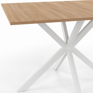 IDMarket - ALIX Tavolo da pranzo rettangolare per 6 persone con gambe in legno e ragno bianco 110 cm