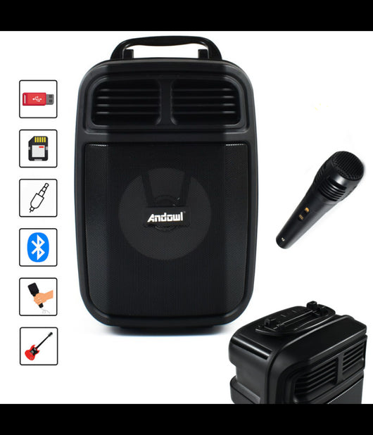 Altoparlante Bluetooth Wireless Microfono Supporto Cellulare Karaoke Led Q-l024         