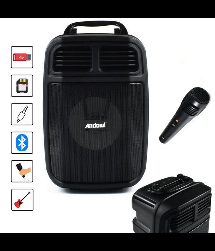 Altoparlante Bluetooth Wireless Microfono Supporto Cellulare Karaoke Led Q-l024         