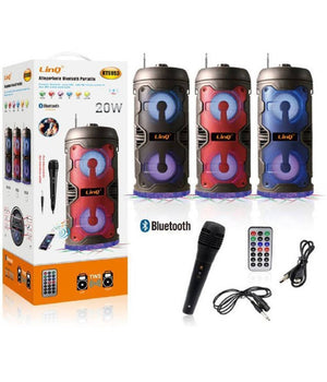 Altoparlante Speaker Cassa Bluetooth Portatile Kts953 20w Microfono Wireless Usb         