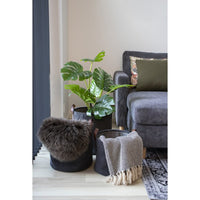 Plaid Cort, Grigio, Cotone, 160x130x1 cm, Seven Design