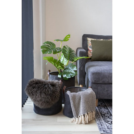 Plaid Cort, Grigio, Cotone, 160x130x1 cm, Seven Design