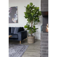 Pianta Artificiale Ficus Lyrata, Verde, Polietilene, 81x93x190 cm, Seven Design