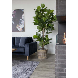 Pianta Artificiale Ficus Lyrata, Verde, Polietilene, 81x93x190 cm, Seven Design