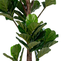 Pianta Artificiale Ficus Lyrata, Verde, Polietilene, 81x93x190 cm, Seven Design