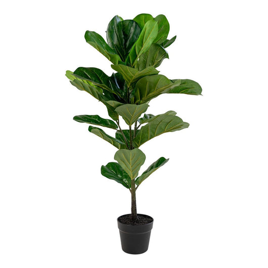 Pianta Artificiale Ficus Lyrata, Verde, Polietilene, 36x46x100 cm, Seven Design