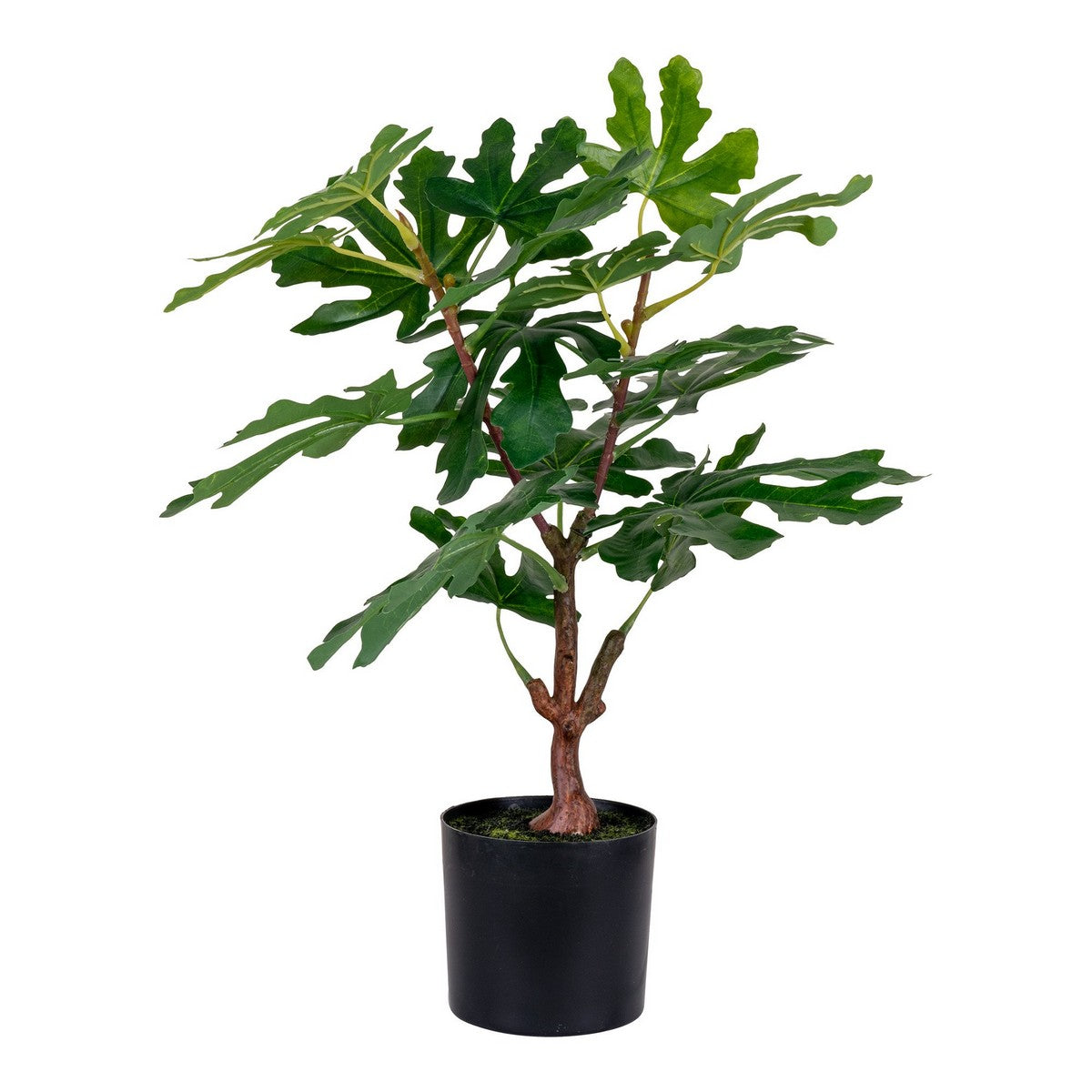 Pianta Artificiale Ficus, Verde, Polietilene, 40x40x60 cm, Seven Design