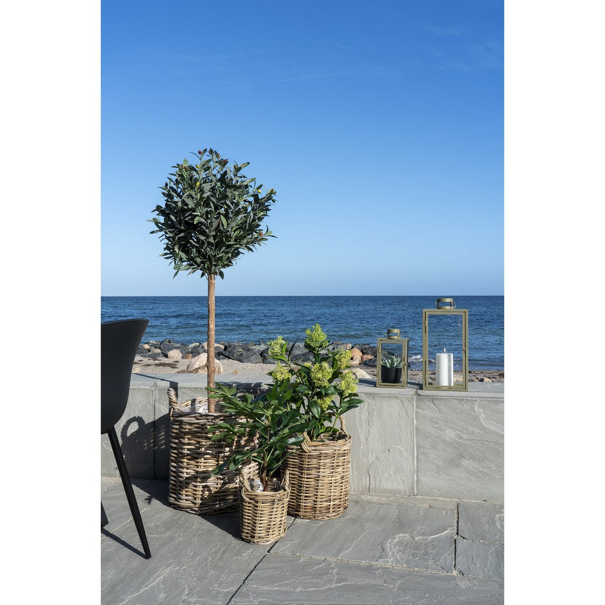 Pianta Artificiale Ficus, Verde, Polietilene, 40x40x60 cm, Seven Design