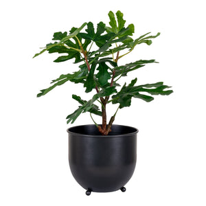 Pianta Artificiale Ficus, Verde, Polietilene, 40x40x60 cm, Seven Design