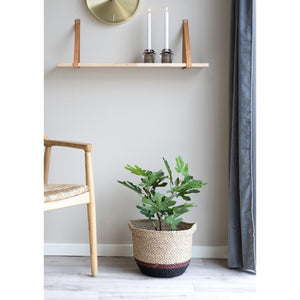 Pianta Artificiale Ficus, Verde, Polietilene, 40x40x60 cm, Seven Design