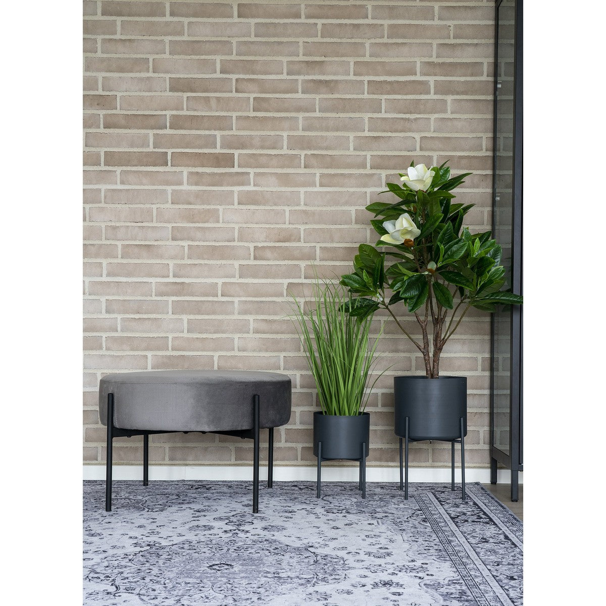 Tappeto Rettangolare Havana, Grigio, Polistirene Cinigliato, 230x160x1 cm, Seven Design