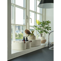 Set di 3 Cesti Portaoggetti Jarana, Bianco, Cotone, 25x35x13 cm, Seven Design