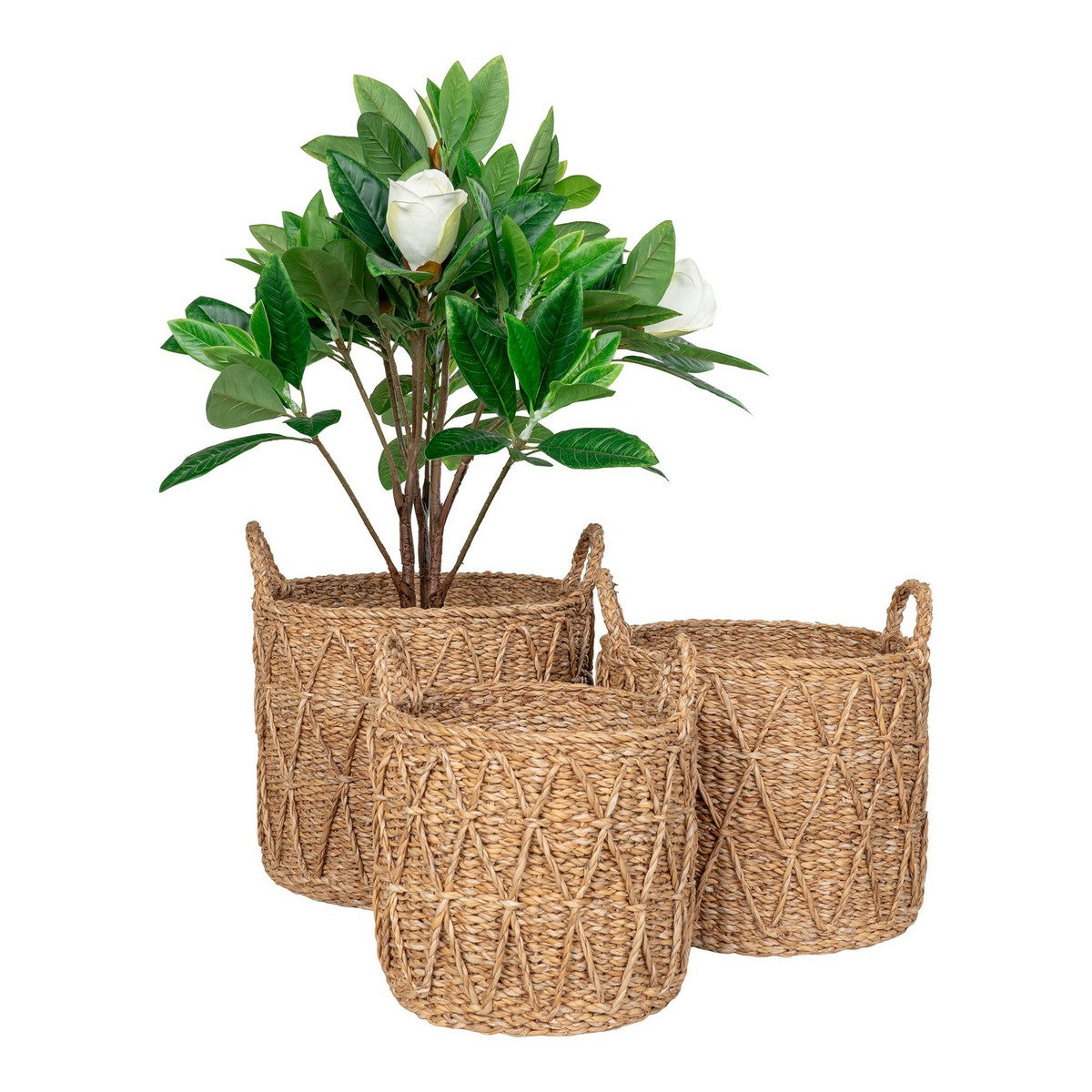 Set di 3 Cesti Portaoggetti Krabi, Marrone,  	Erba Marina, 36x36x30 cm, Seven Design
