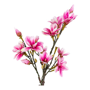 Pianta Artificiale Magnolia, Rosa, Polietilene, 30x40x74 cm, Seven Design