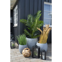 Pianta Artificiale Poa, Verde, Polietilene, 30x30x68 cm, Seven Design