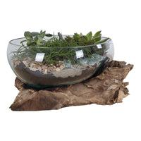 Terrario San, Marrone, Legno, 26x26x20 cm, Epikasa