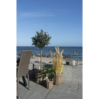 Set di 3 Cesti Portaoggetti Sema, Marrone, Rattan, 41x41x49 cm, Seven Design