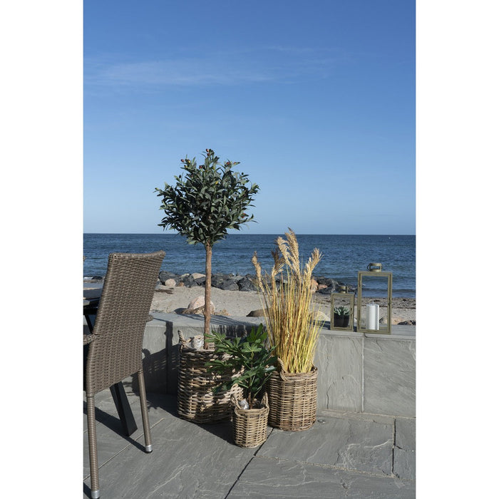 Set di 3 Cesti Portaoggetti Sema, Marrone, Rattan, 41x41x49 cm, Seven Design