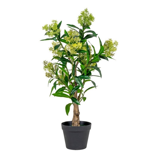 Pianta Artificiale Skimmia, Verde, Polietilene, 40x40x75 cm, Seven Design