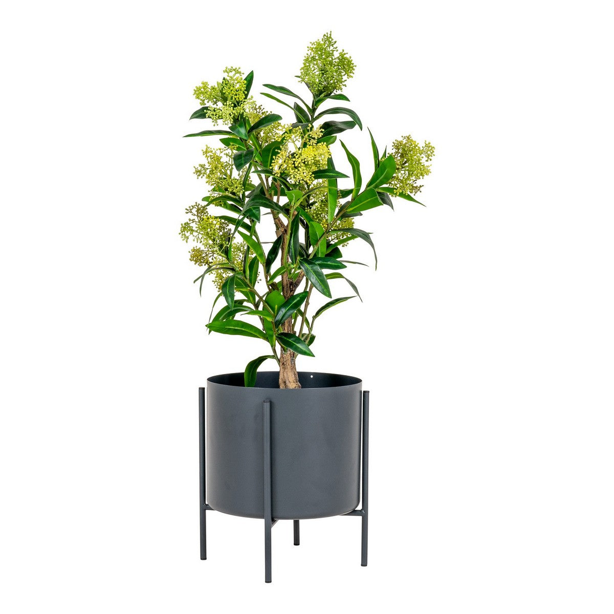 Pianta Artificiale Skimmia, Verde, Polietilene, 40x40x75 cm, Seven Design