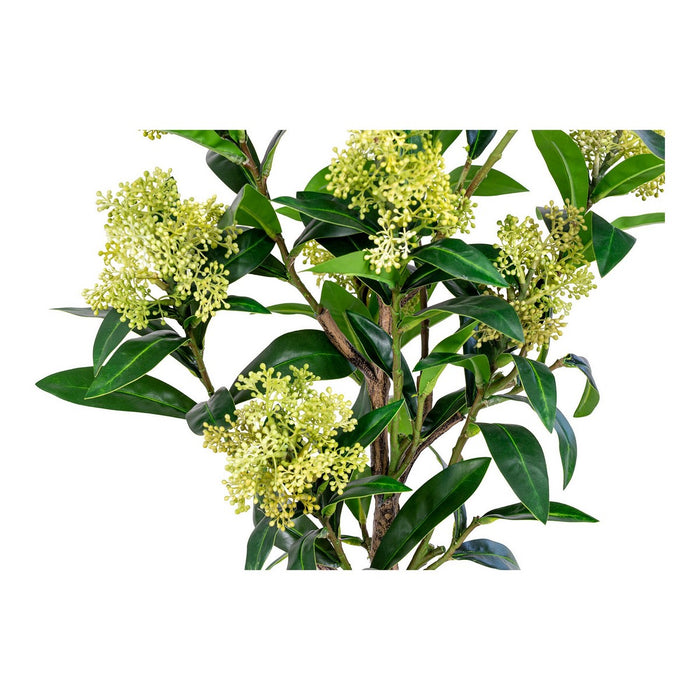 Pianta Artificiale Skimmia, Verde, Polietilene, 40x40x75 cm, Seven Design