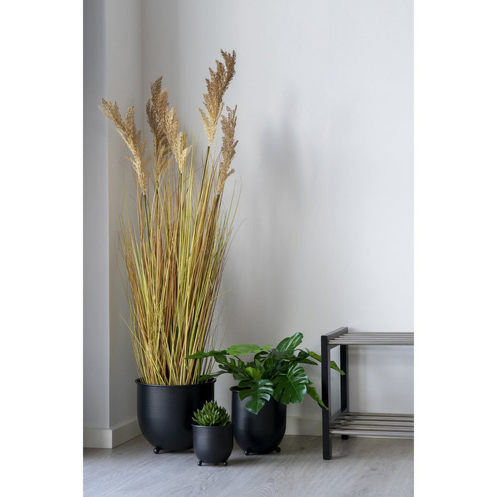 Pianta Artificiale Sorgo, Marrone, Polietilene, 35x30x110 cm, Seven Design