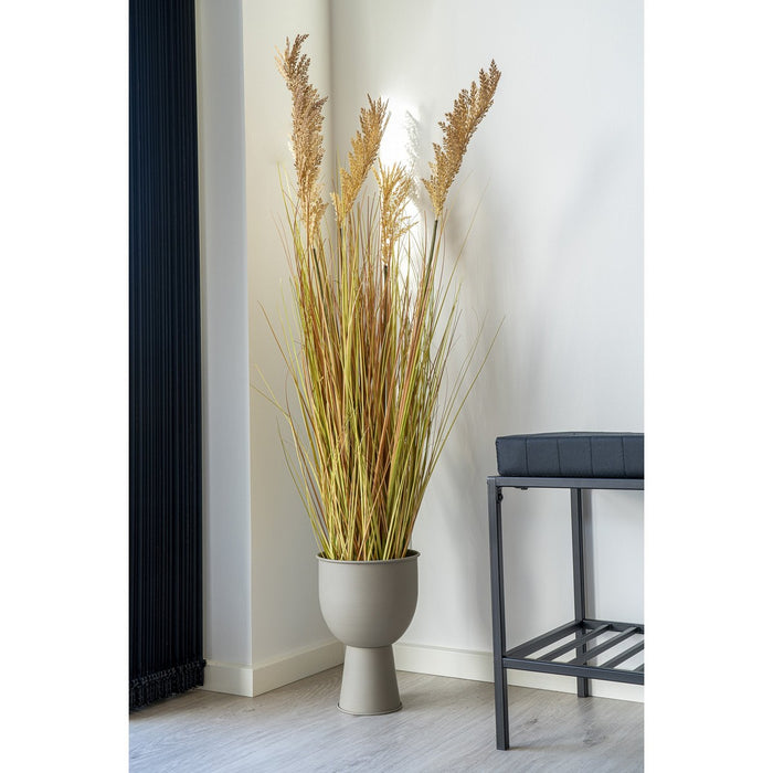 Pianta Artificiale Sorgo, Marrone, Polietilene, 35x30x110 cm, Seven Design